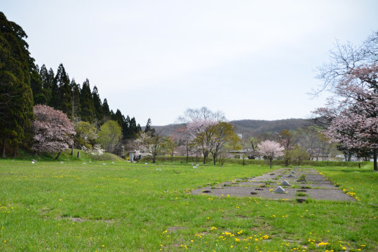 D70_1539[1]
