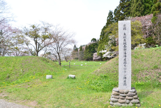 D70_1565[1]