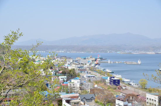 D70_1575[1]