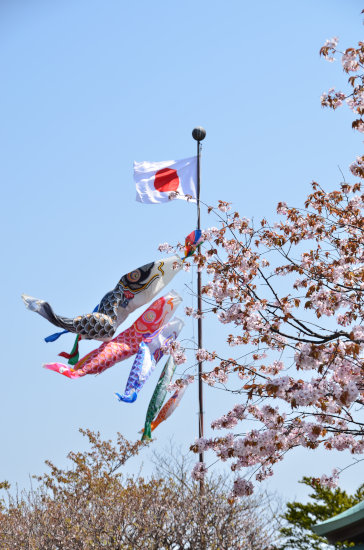 D70_1577[1]