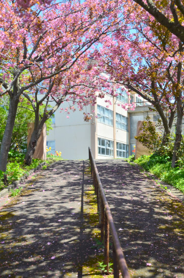 D70_1774[1]