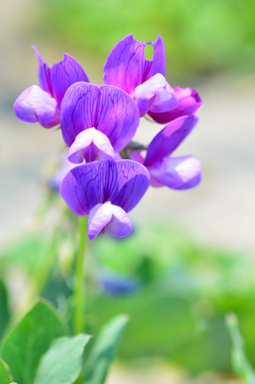 D70_2292[1]