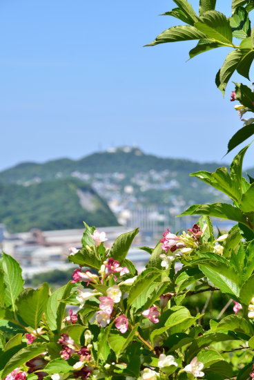 D70_2857[1]