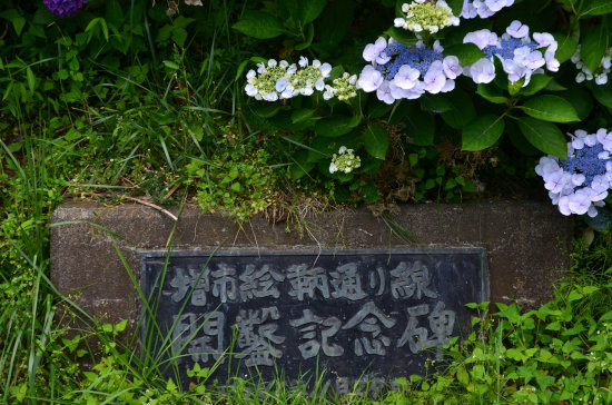 D70_3119[1]