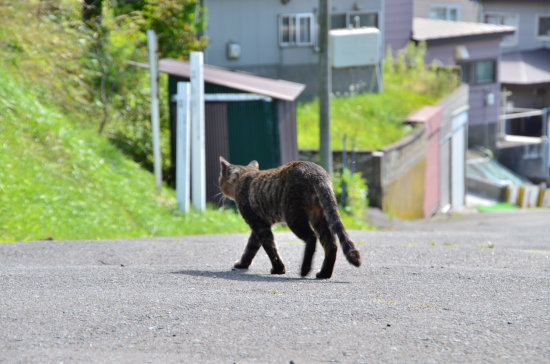 D70_3236[1]