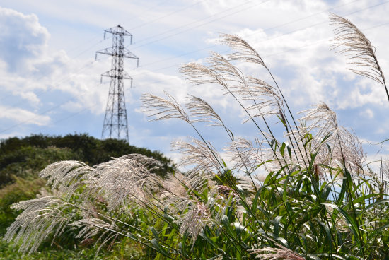 D70_3246[1]