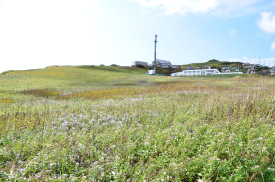 D70_3345[1]