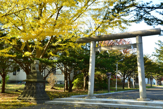 中嶋神社の紅葉
