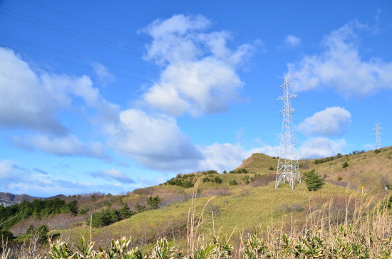 D70_3815[1]