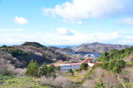 D70_3817[1]