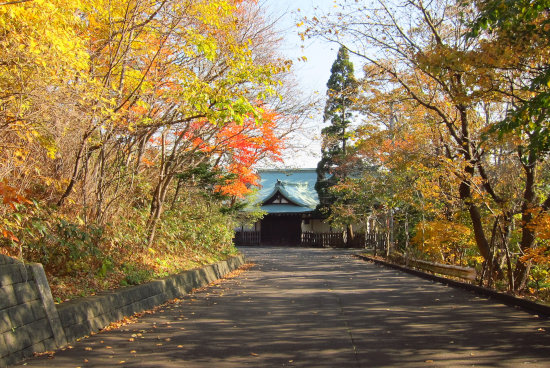 八幡さんの紅葉　2015