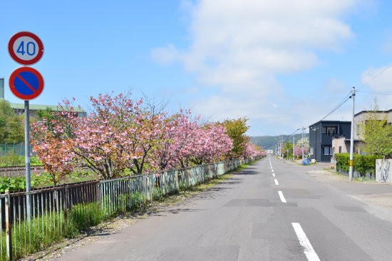 D70_1758[1]