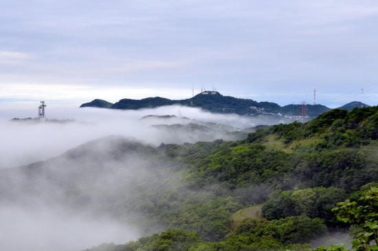 D70_3079[1]