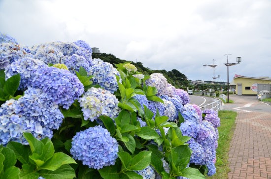 D70_3226[1]