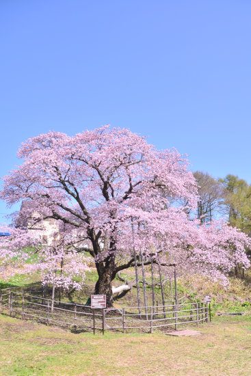 D70_4476[1]