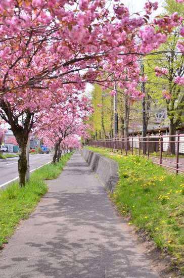 D70_4885[1]