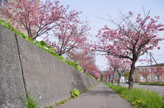 D70_4893[1]
