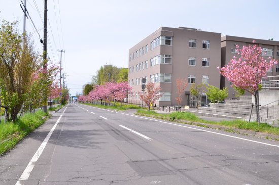 D70_4894[1][1]