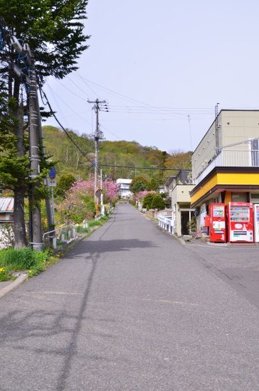 D70_4899[1]