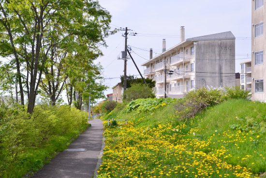 D70_4900[1]