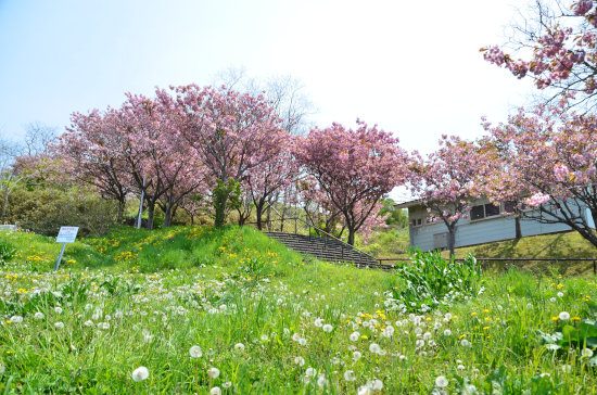 D70_5067[1]