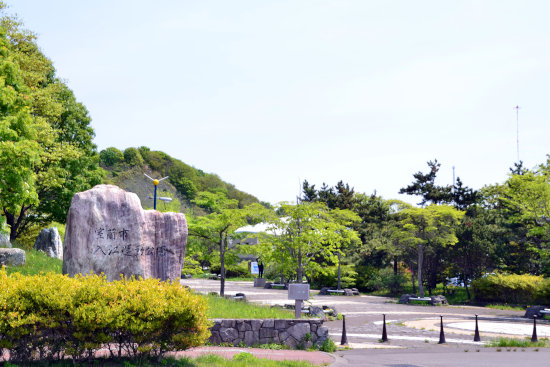 入江運動公園のツツジ