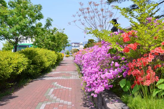 D70_5109[1]