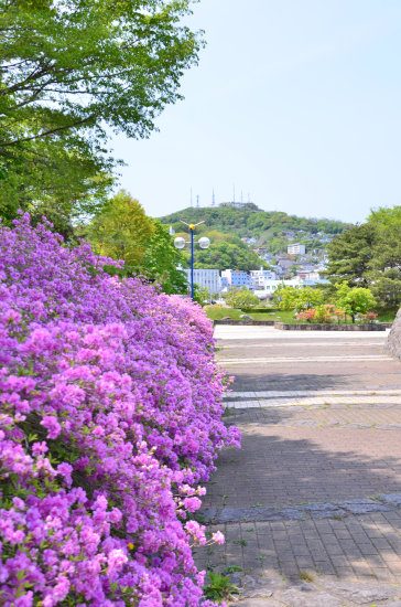 D70_5114[1]