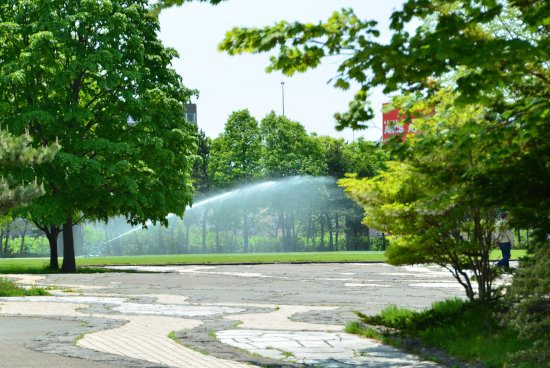 D70_5132[1]
