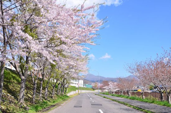 D70_4605[1]