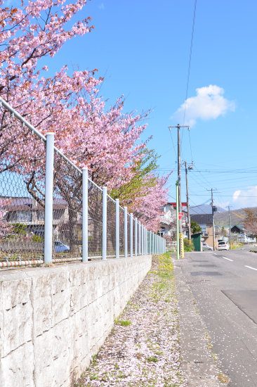 D70_4609[1]