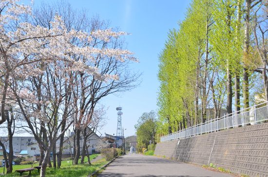 D70_4613[1]