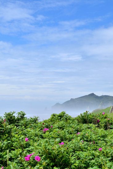 D70_7262[1]