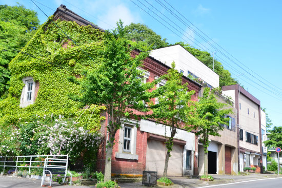 旧山口紙店の蔦とバラ