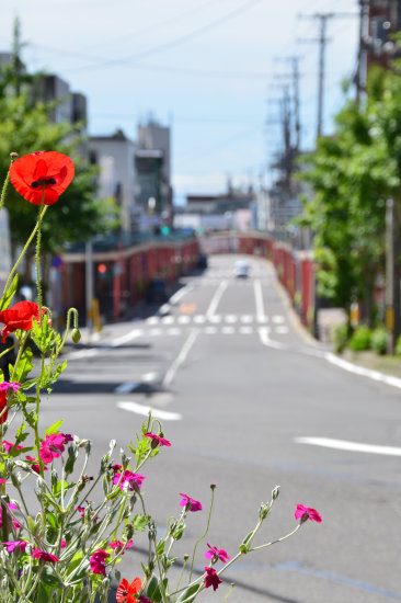 D70_5838[1]