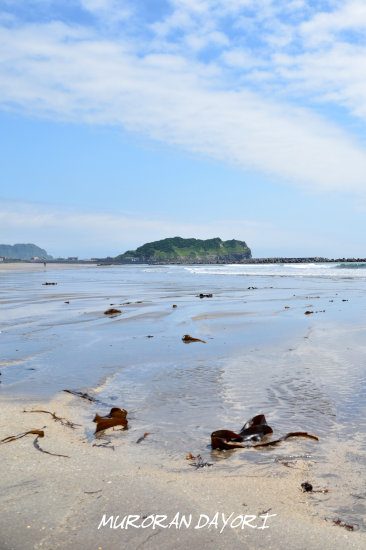 D70_5861[1]