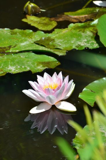 D70_6042[1]