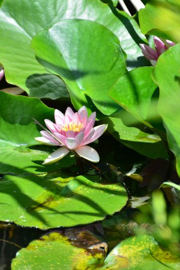 D70_6043[1]
