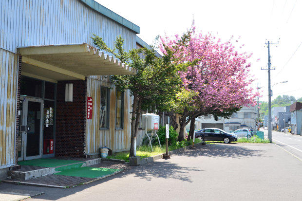 桜めぐり　2017　後編
