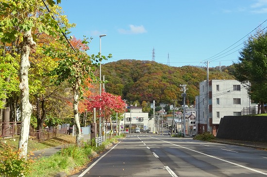 水元町近辺の秋風景