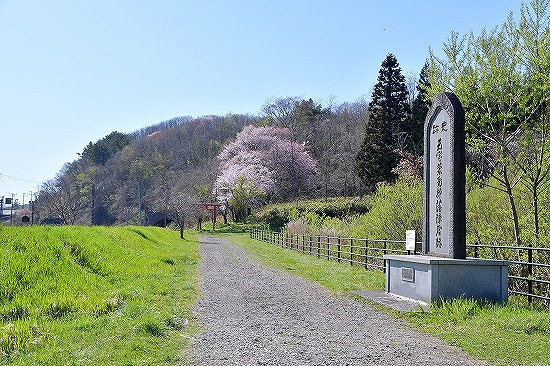 桜めぐり　2019（南部陣屋跡）