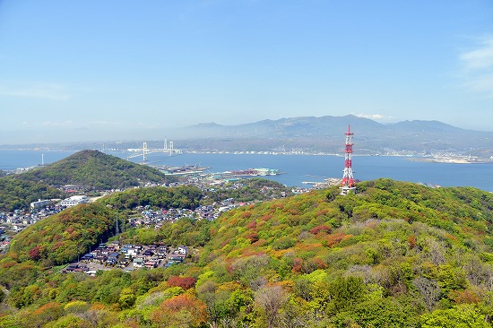 春紅葉