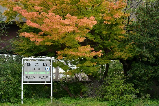 番外編　「母恋駅　2021秋」