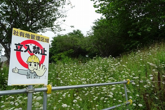 これはちょっと・・・・(´Д⊂ｸﾞｽﾝ