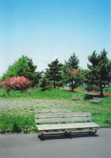 0405023.jpg
