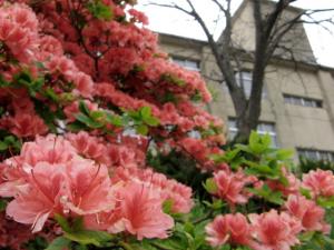 2007.06.043.jpg