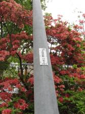 2007.06.044.jpg