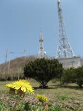 2007.09.243.jpg