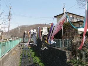 20070422144212.jpg