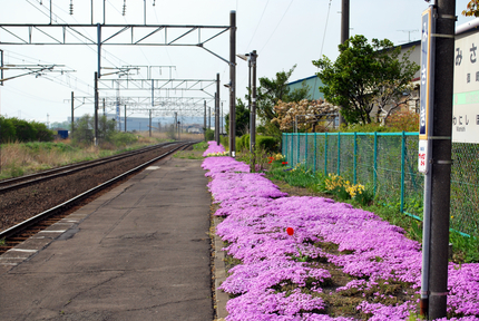 DSC_3164[1]
